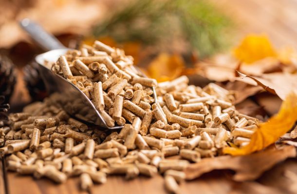 Pellets para energía Biomasa en Salamanca